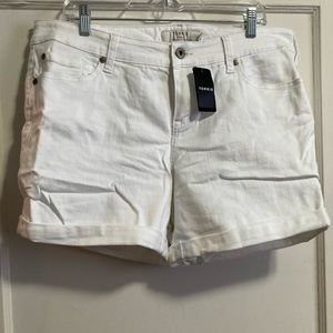 Torrid Shorts